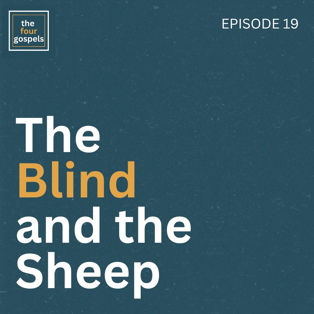 Read more about the article The Blind and the Sheep