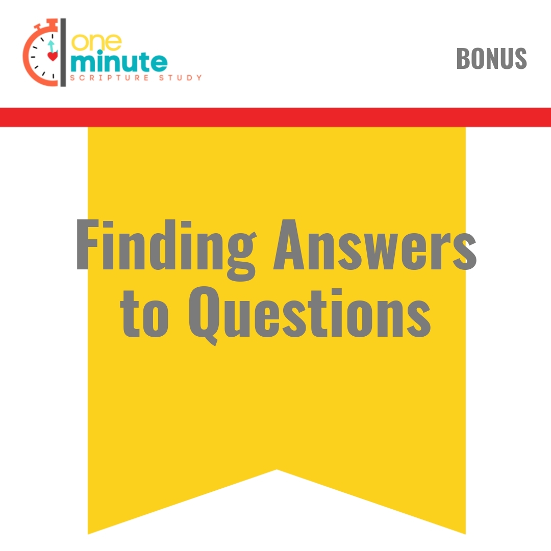 Read more about the article Finding Answers to Questions