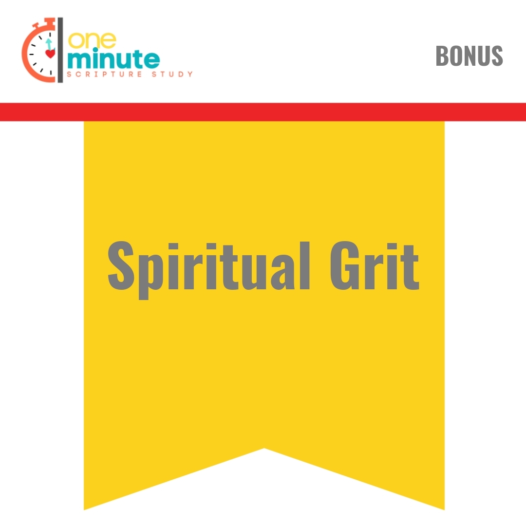 Read more about the article Spiritual Grit