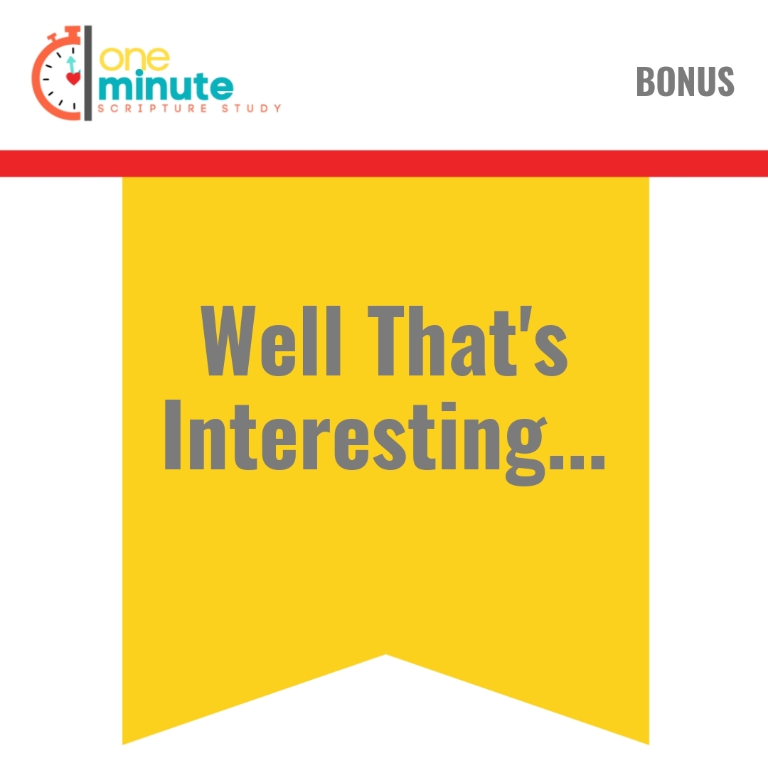 Read more about the article Well That’s Interesting…