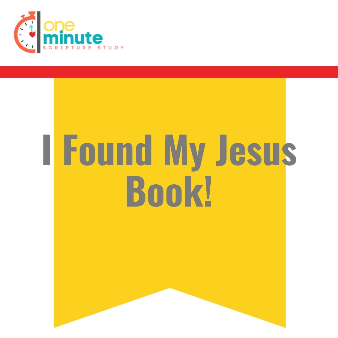 Read more about the article I Found My Jesus Book!