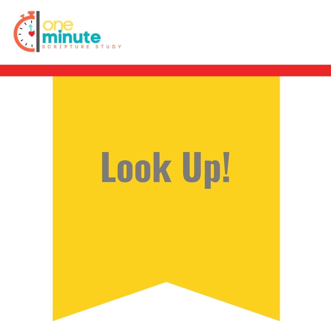 Read more about the article Look Up!