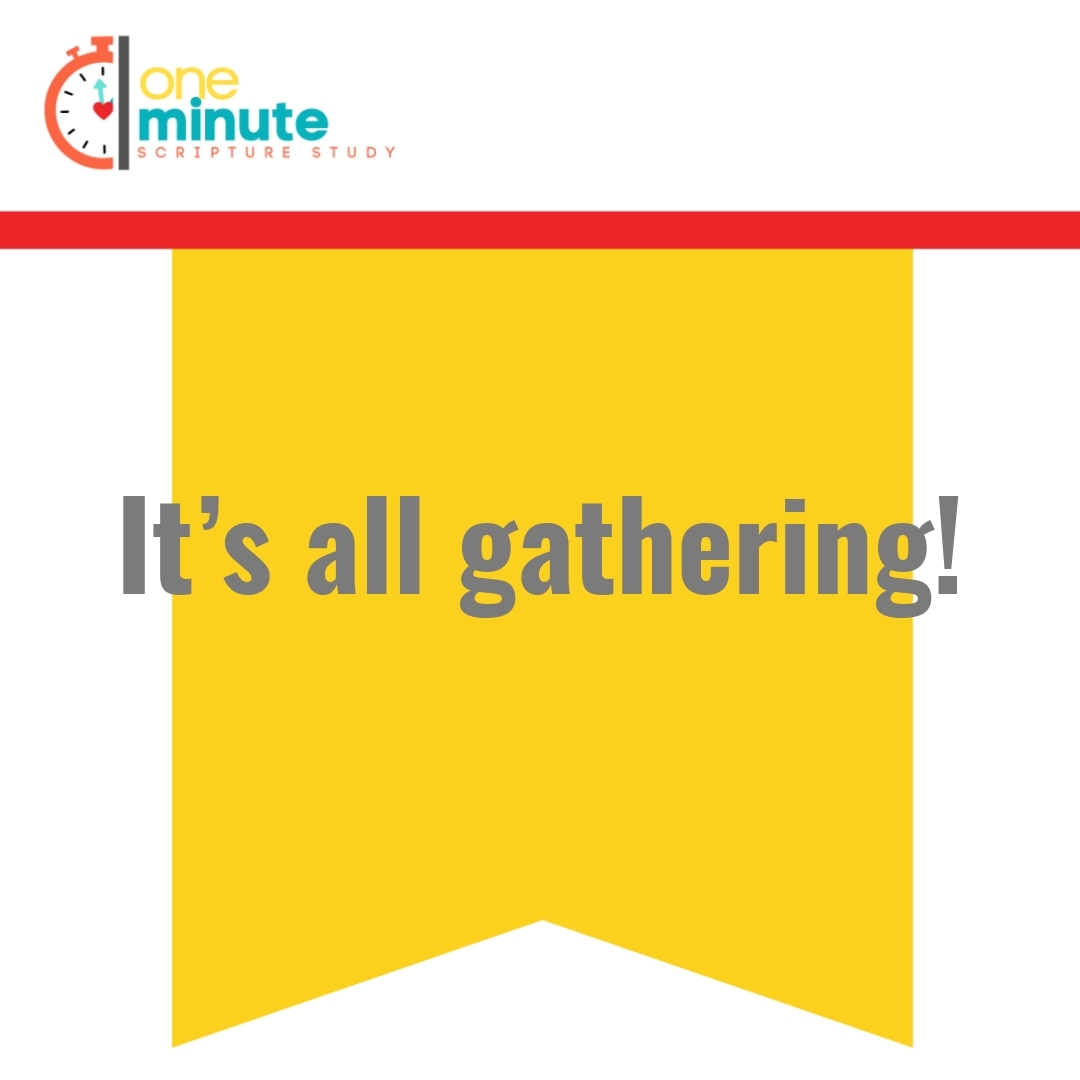 Read more about the article It’s all gathering!
