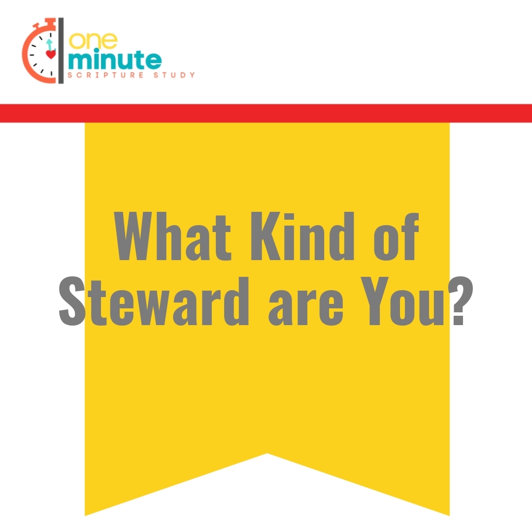 Read more about the article What Kind of Steward are You?