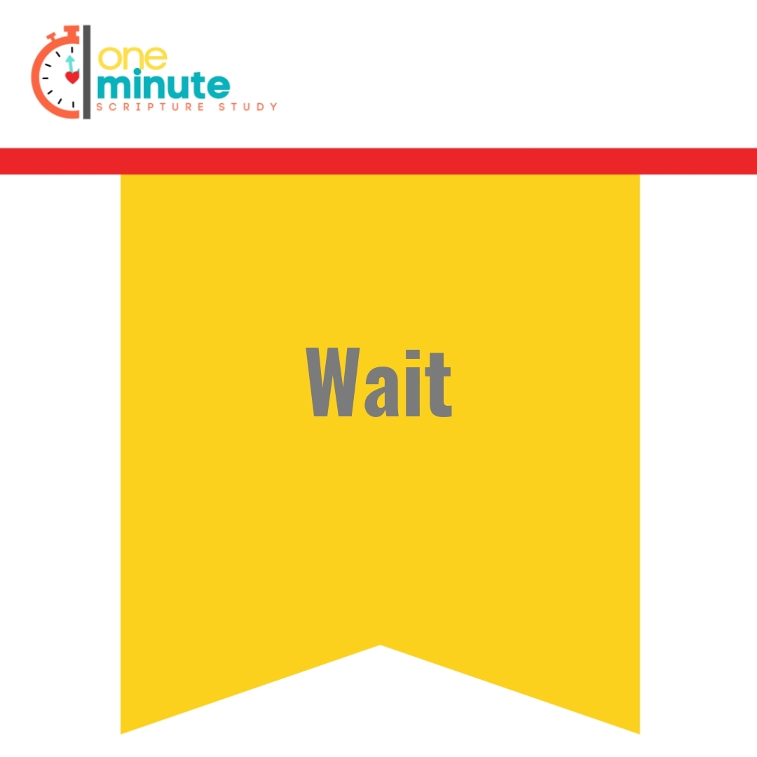 Read more about the article Wait