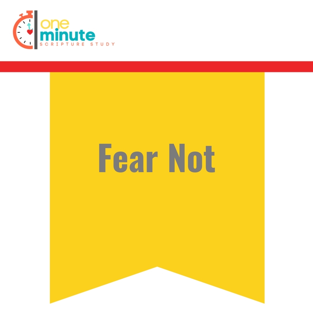 Read more about the article Fear Not