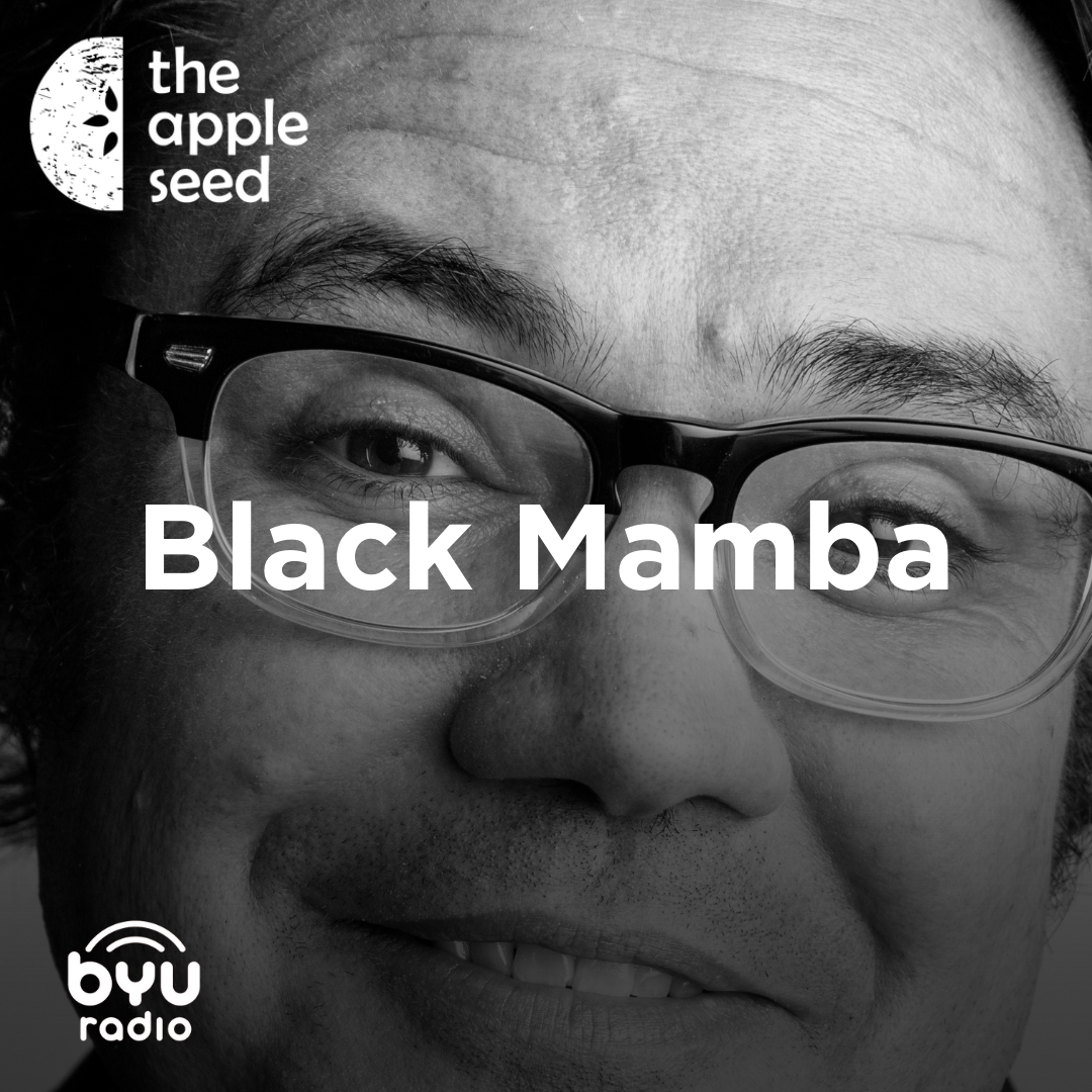 Read more about the article Black Mamba
