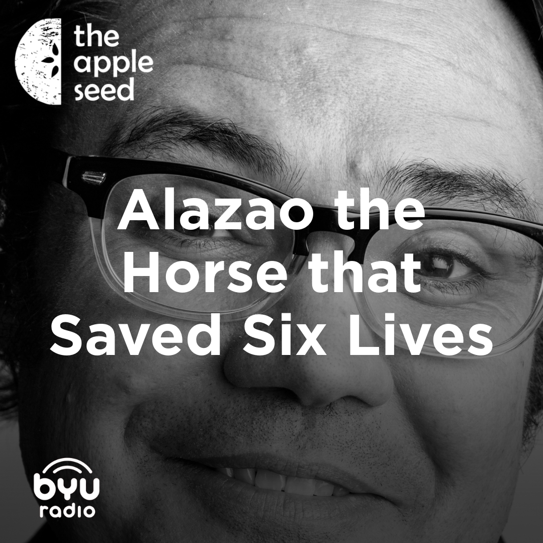 Read more about the article Alazao the Horse that Saved Six Lives