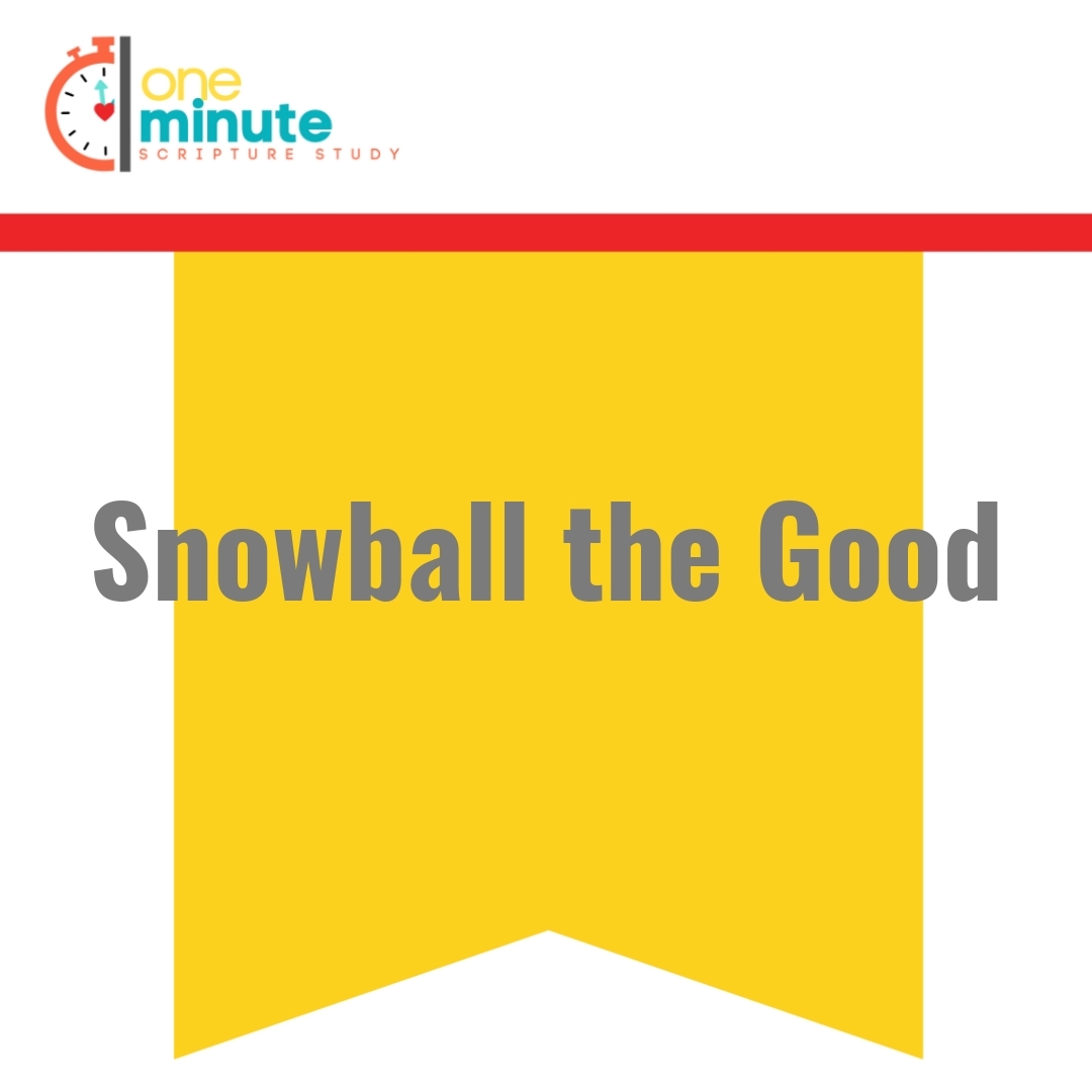 Read more about the article Snowball the Good