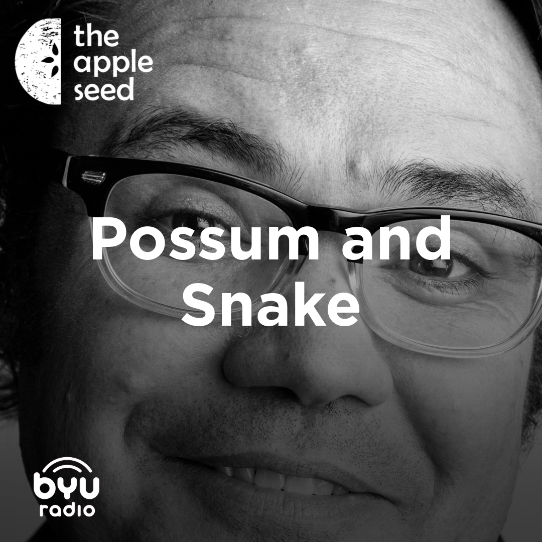 Read more about the article Possum and Snake