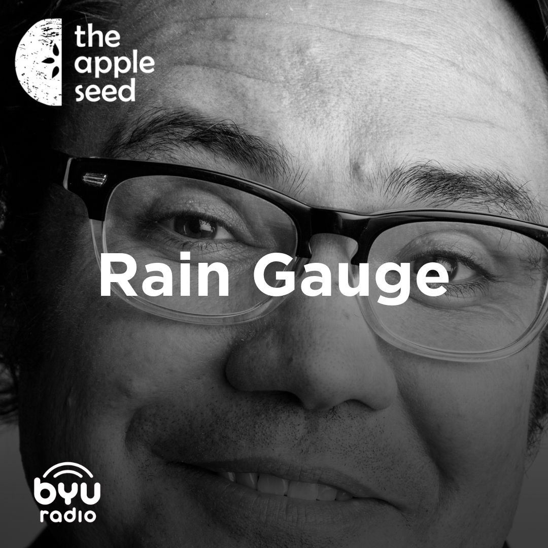 Read more about the article Rain Gauge