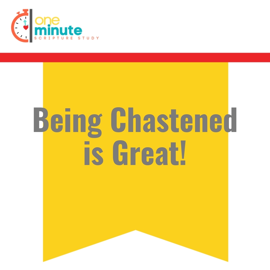 Read more about the article Being Chastened is Great!