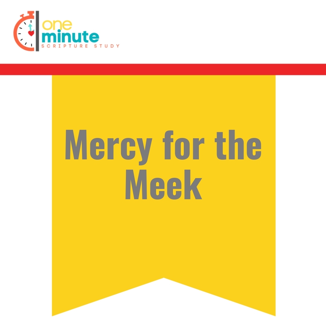 Read more about the article Mercy for the Meek