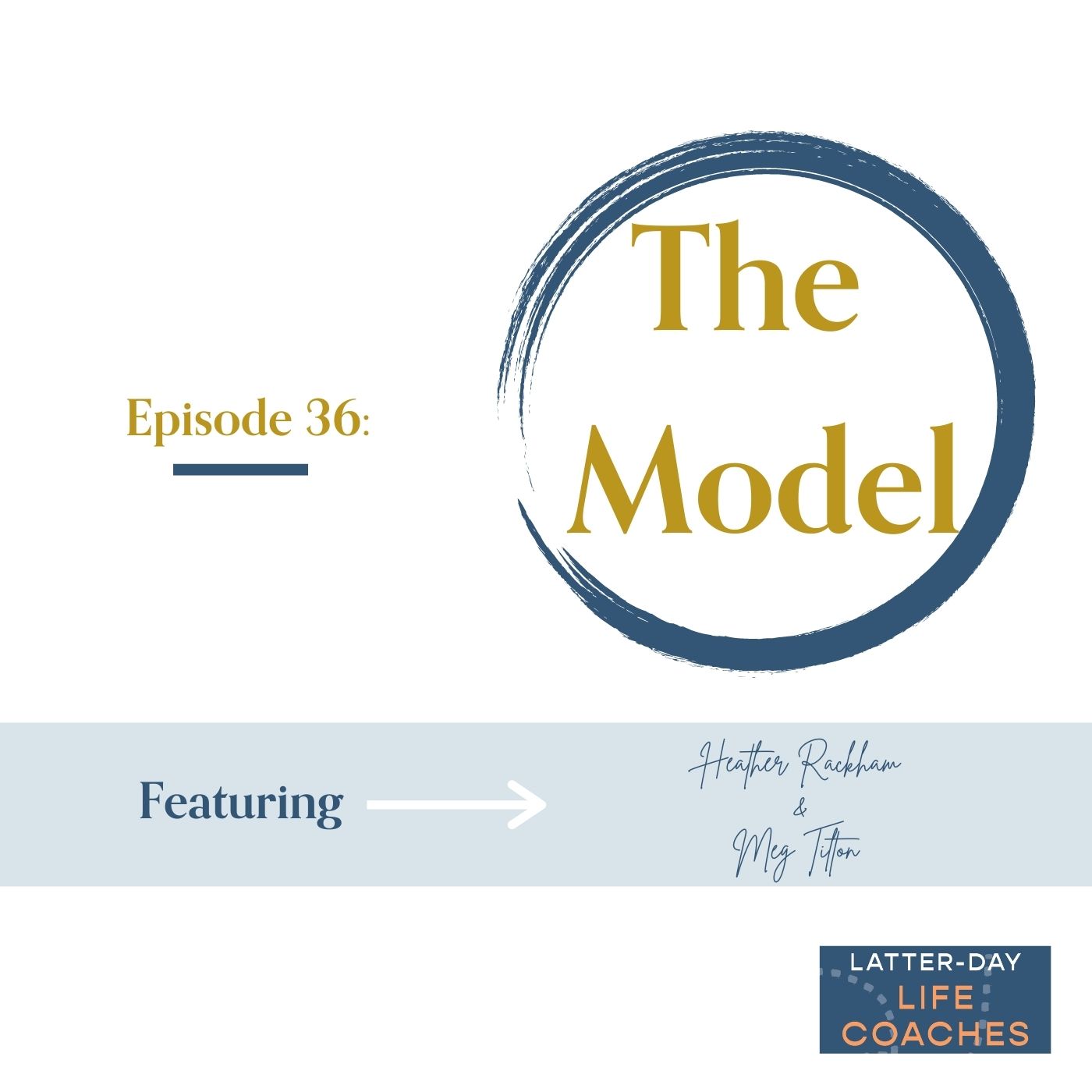 Read more about the article The Model