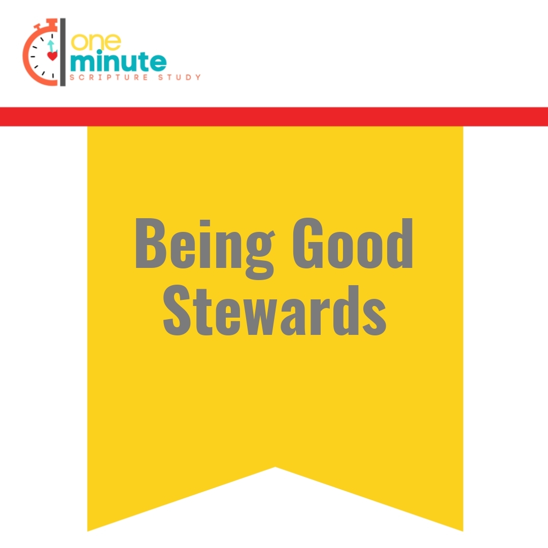 Read more about the article Being Good Stewards