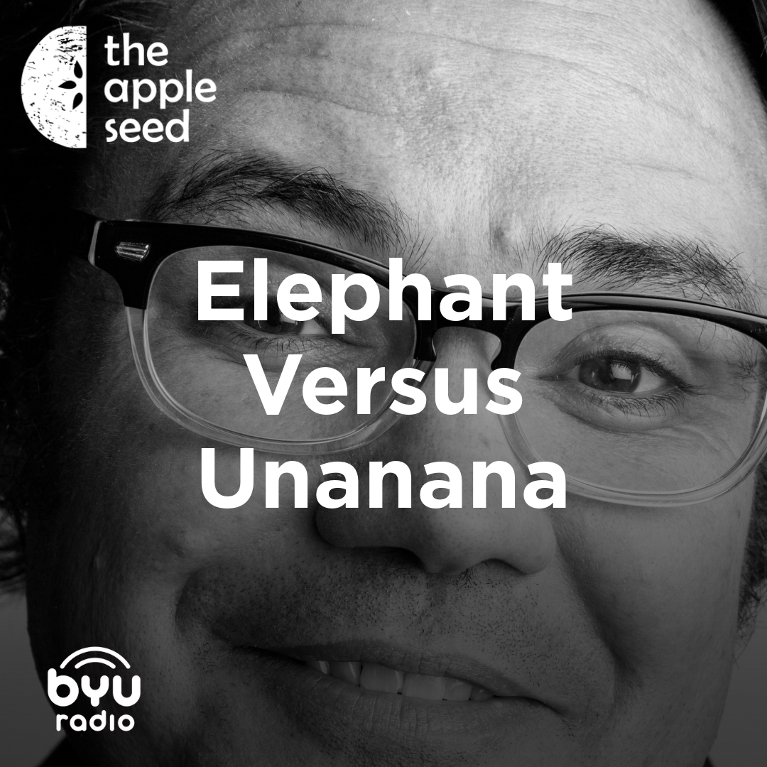 Read more about the article Elephant Versus Unanana