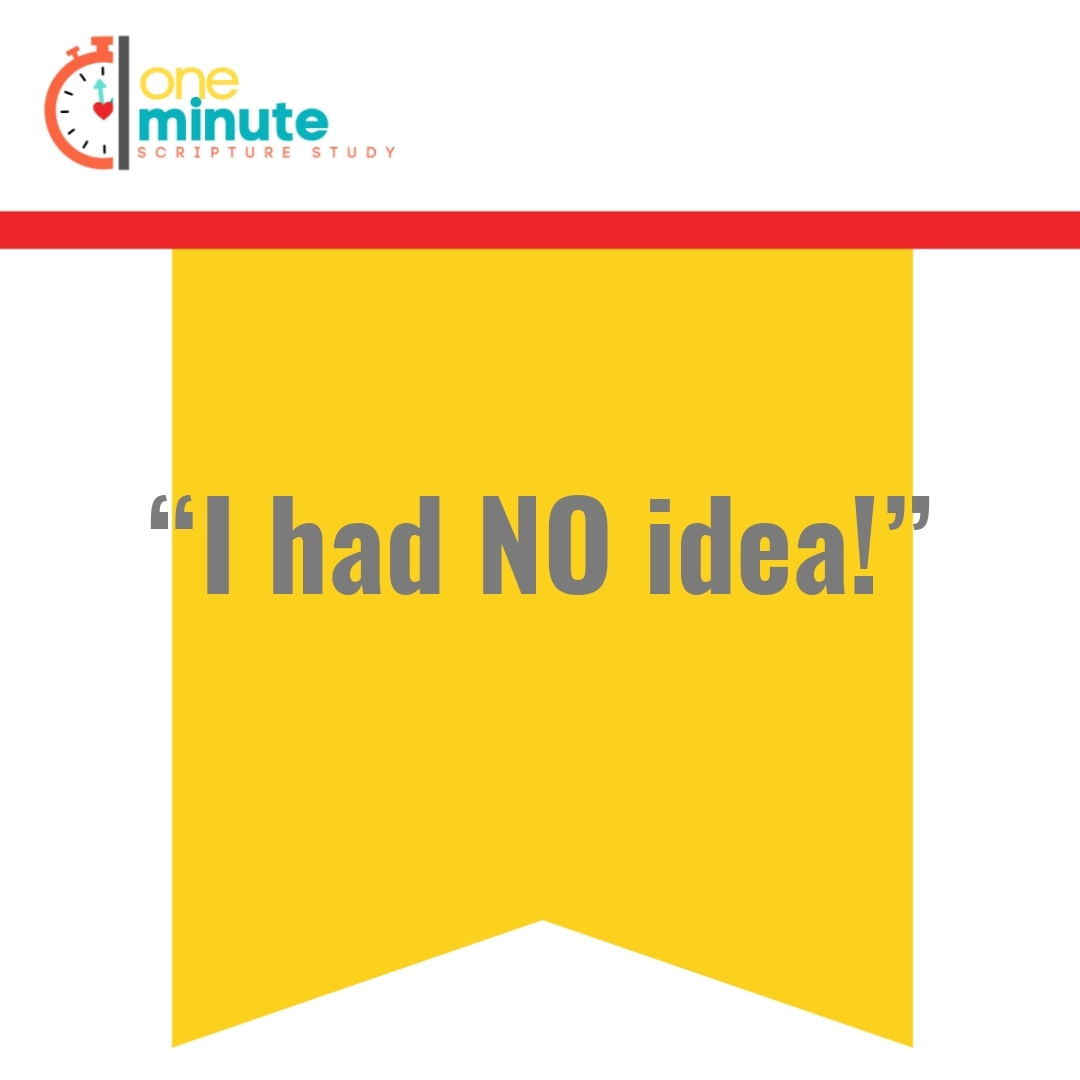 Read more about the article “I had NO idea!”