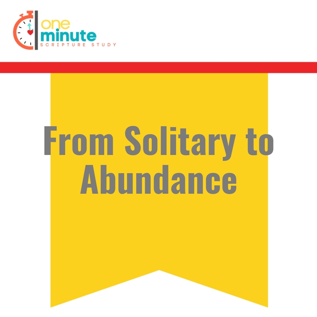 Read more about the article From Solitary to Abundance