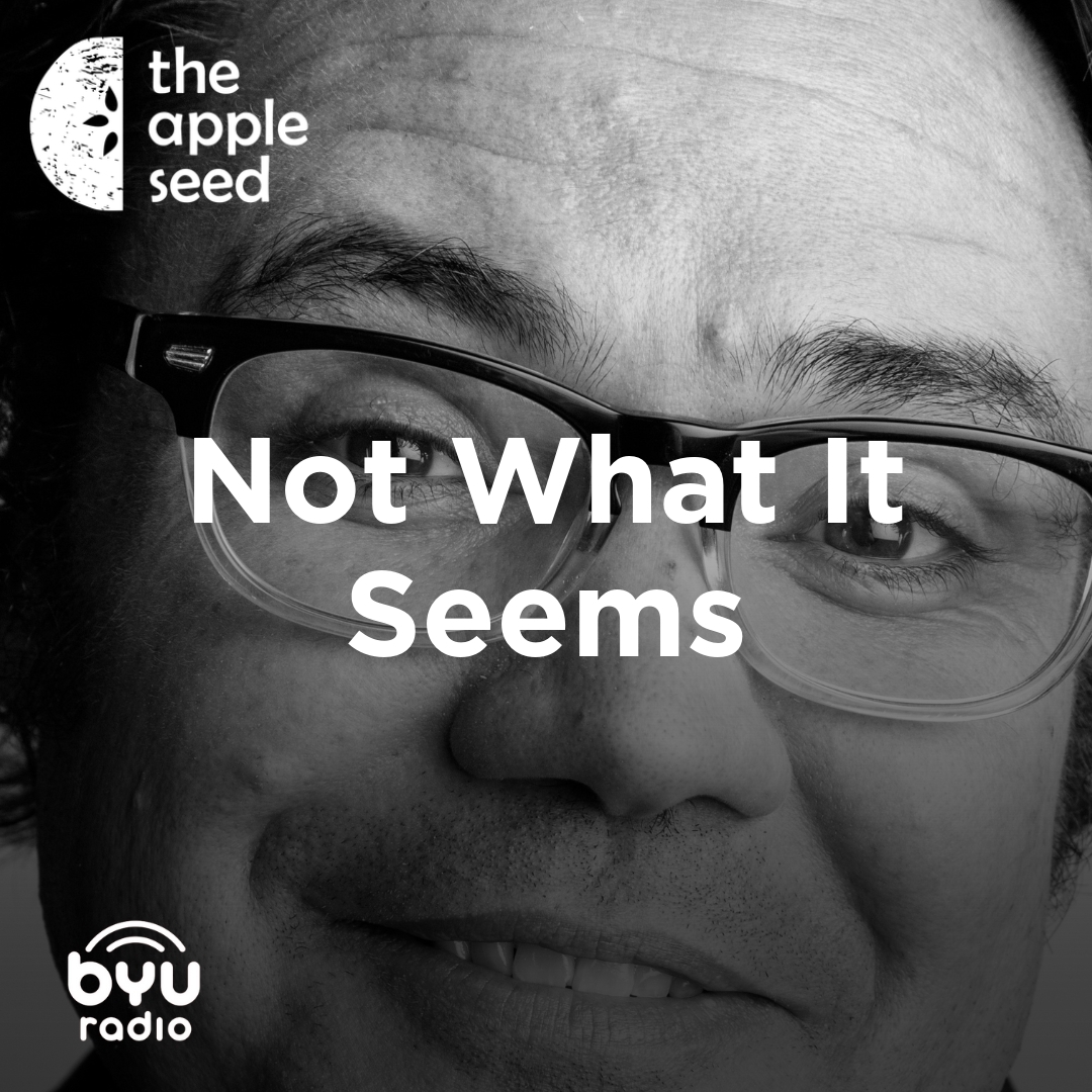 Read more about the article Not What It Seems