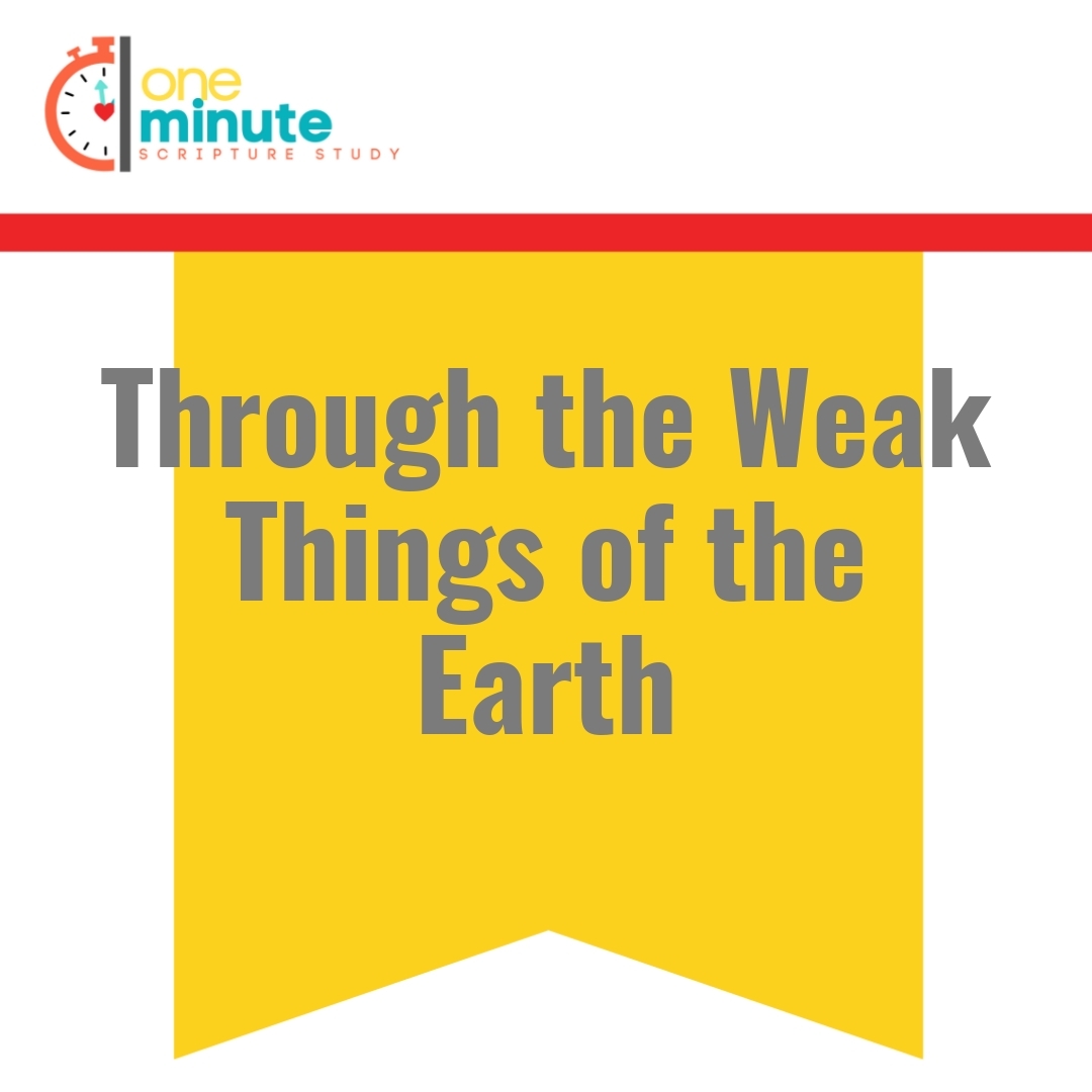 Read more about the article Through the Weak Things of the Earth
