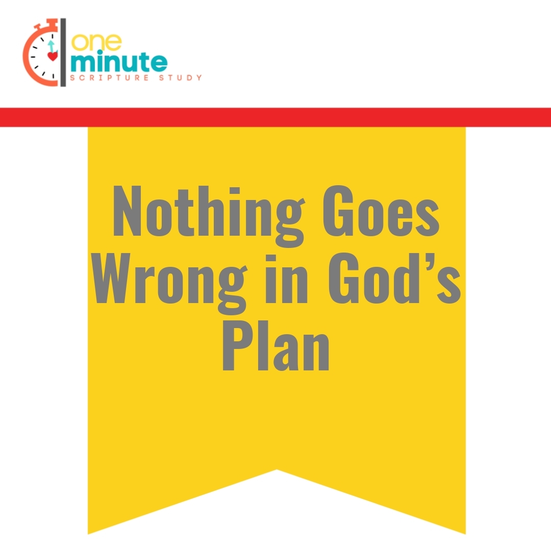 Read more about the article Nothing Goes Wrong in God’s Plan