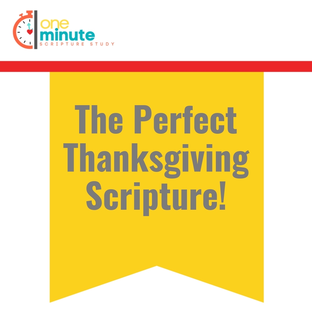 Read more about the article The Perfect Thanksgiving Scripture!