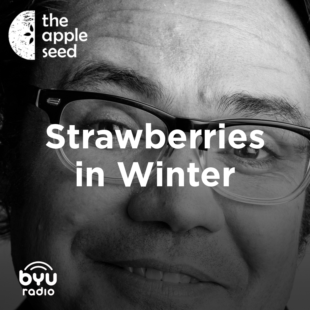 Read more about the article Strawberries in Winter