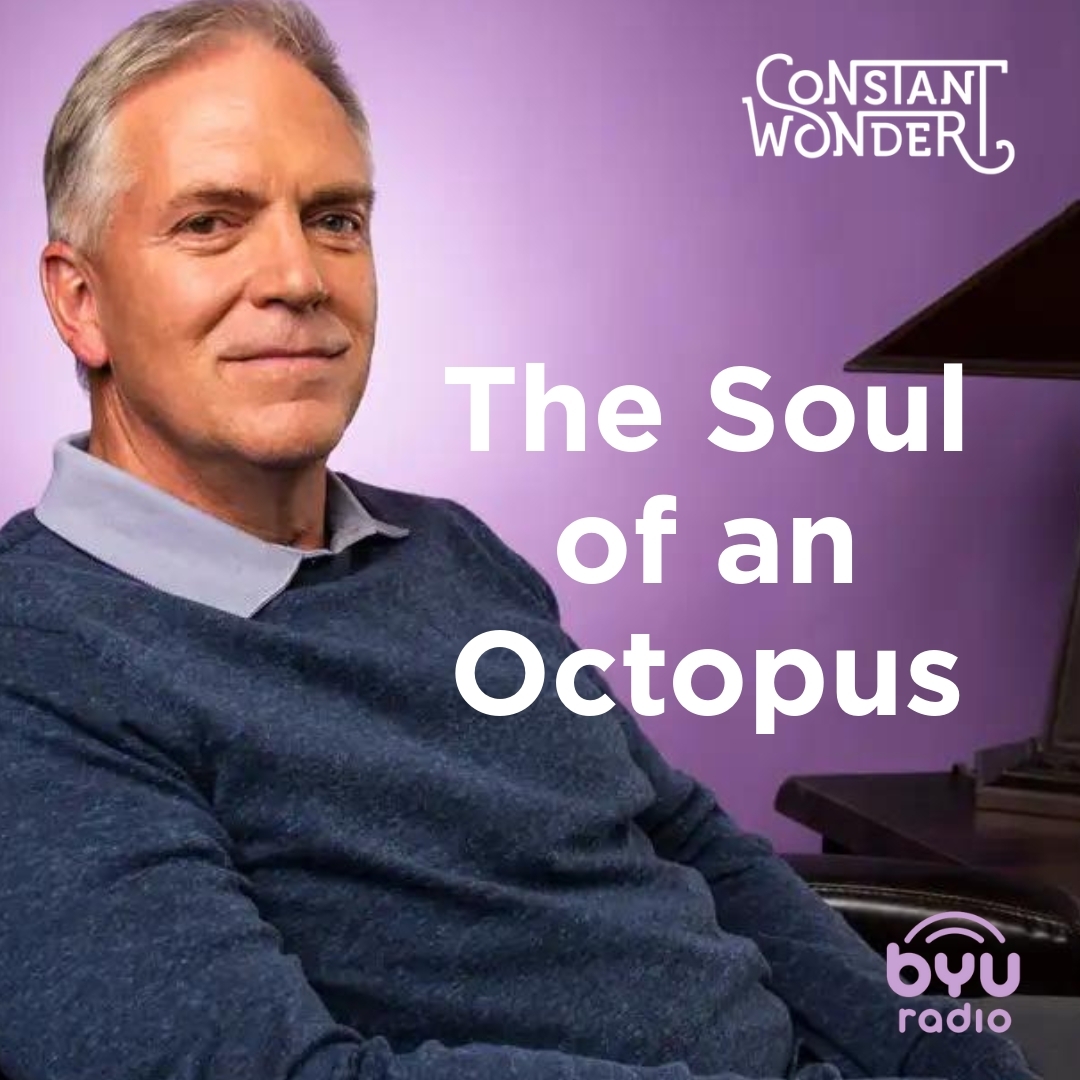 Read more about the article The Soul of an Octopus