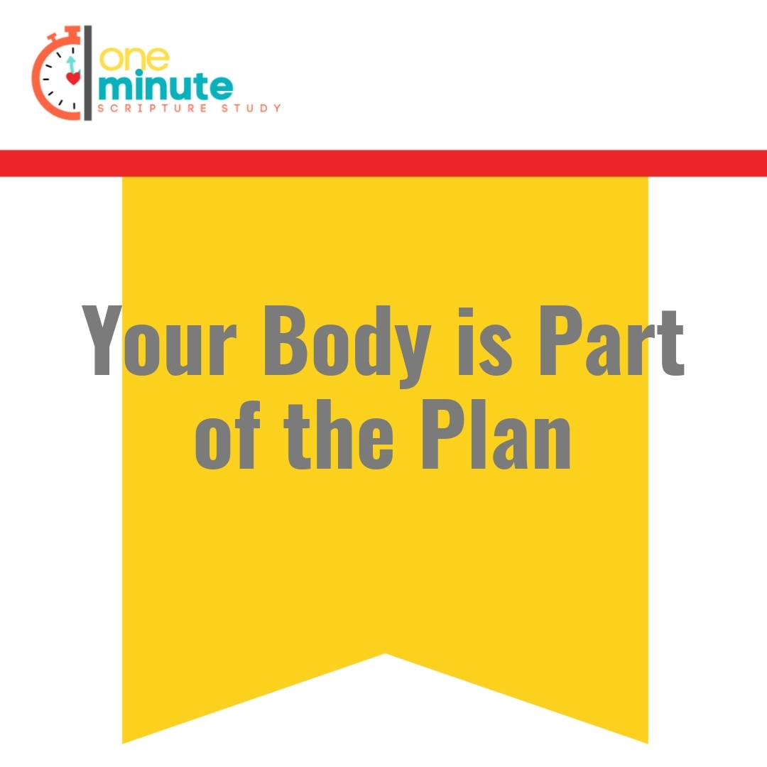 Read more about the article Your Body is Part of the Plan