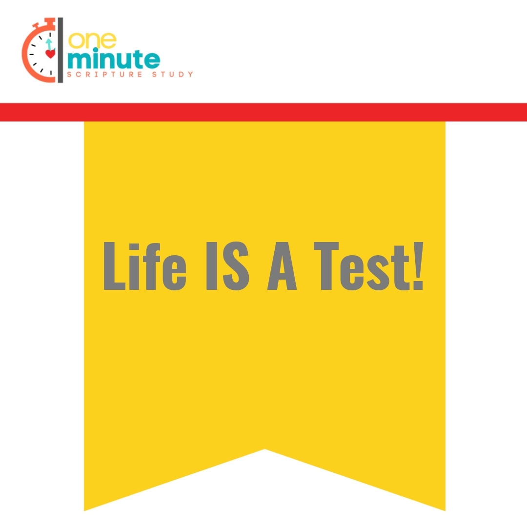 Read more about the article Life IS A Test!