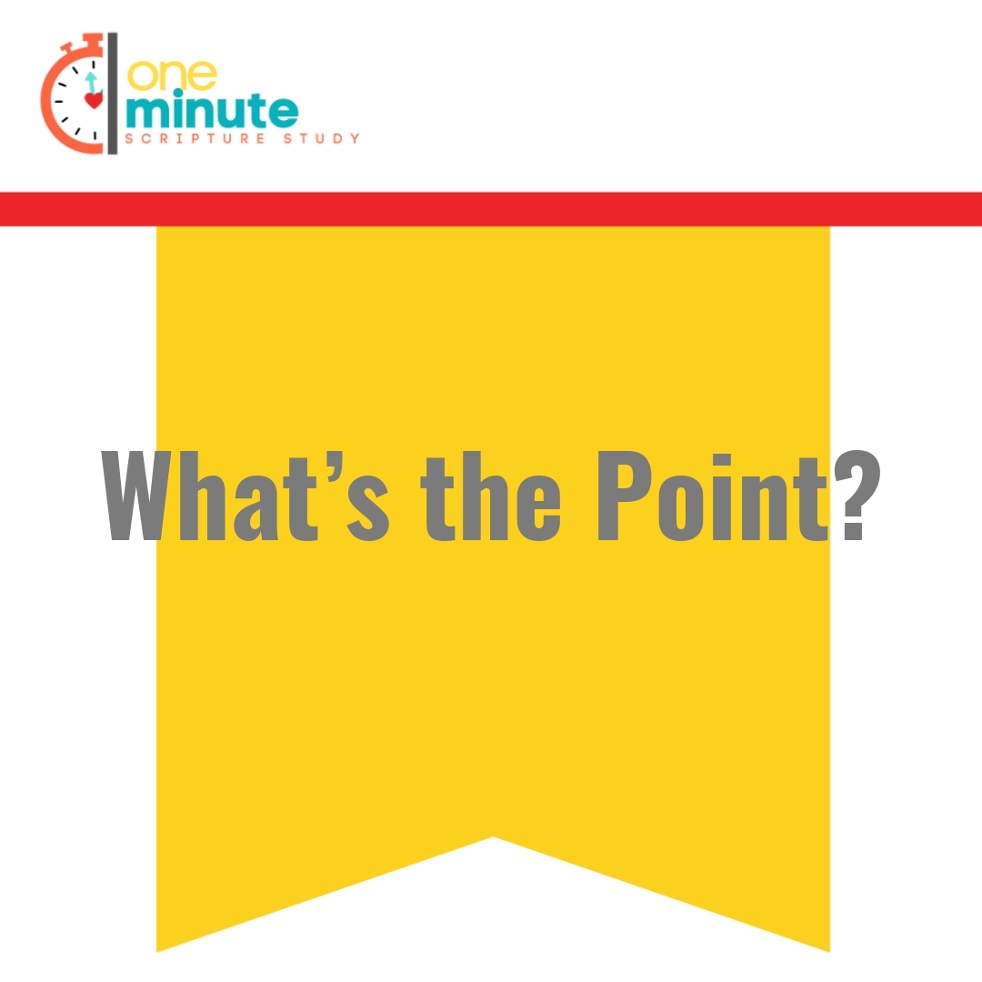 Read more about the article What’s the Point?