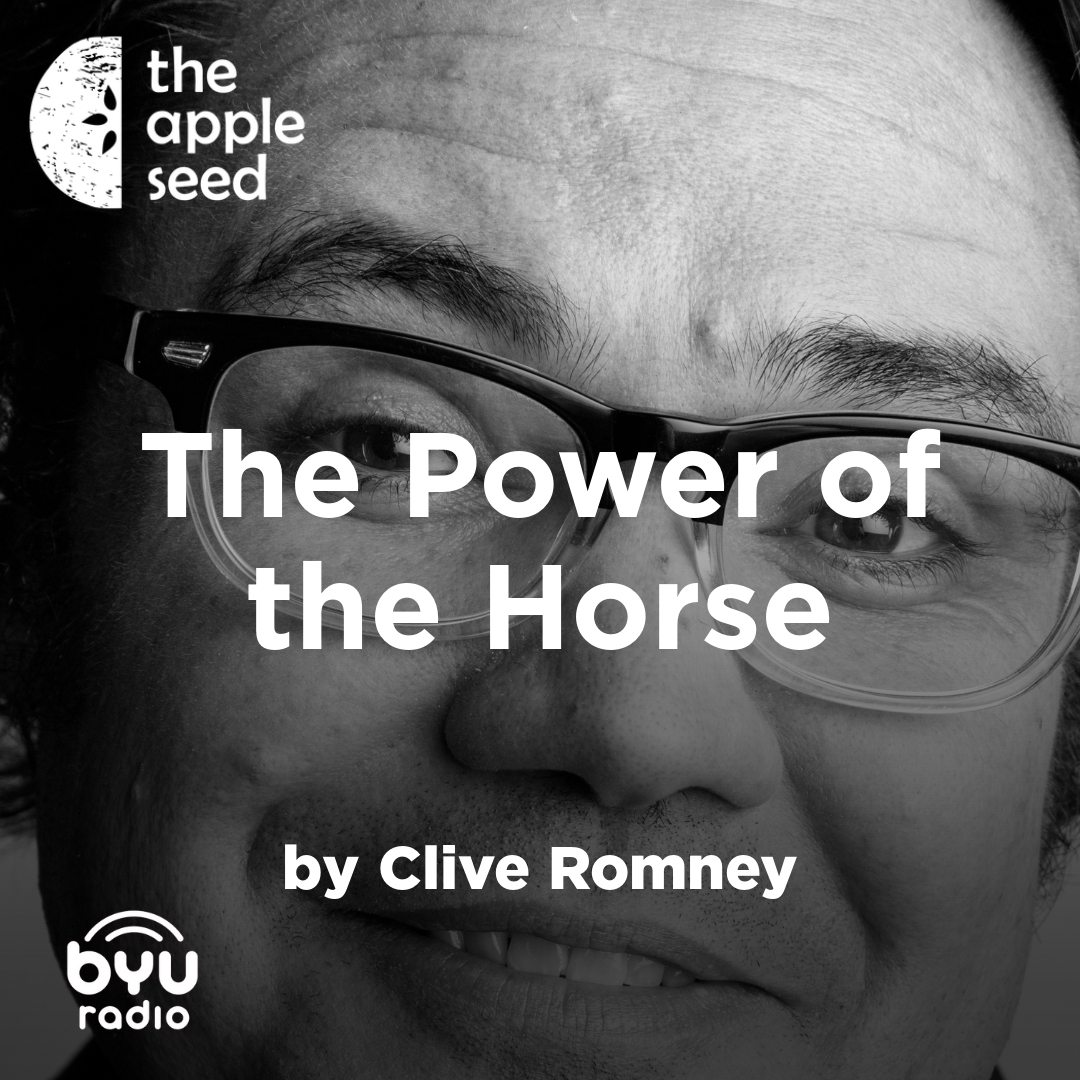 Read more about the article The Power of the Horse