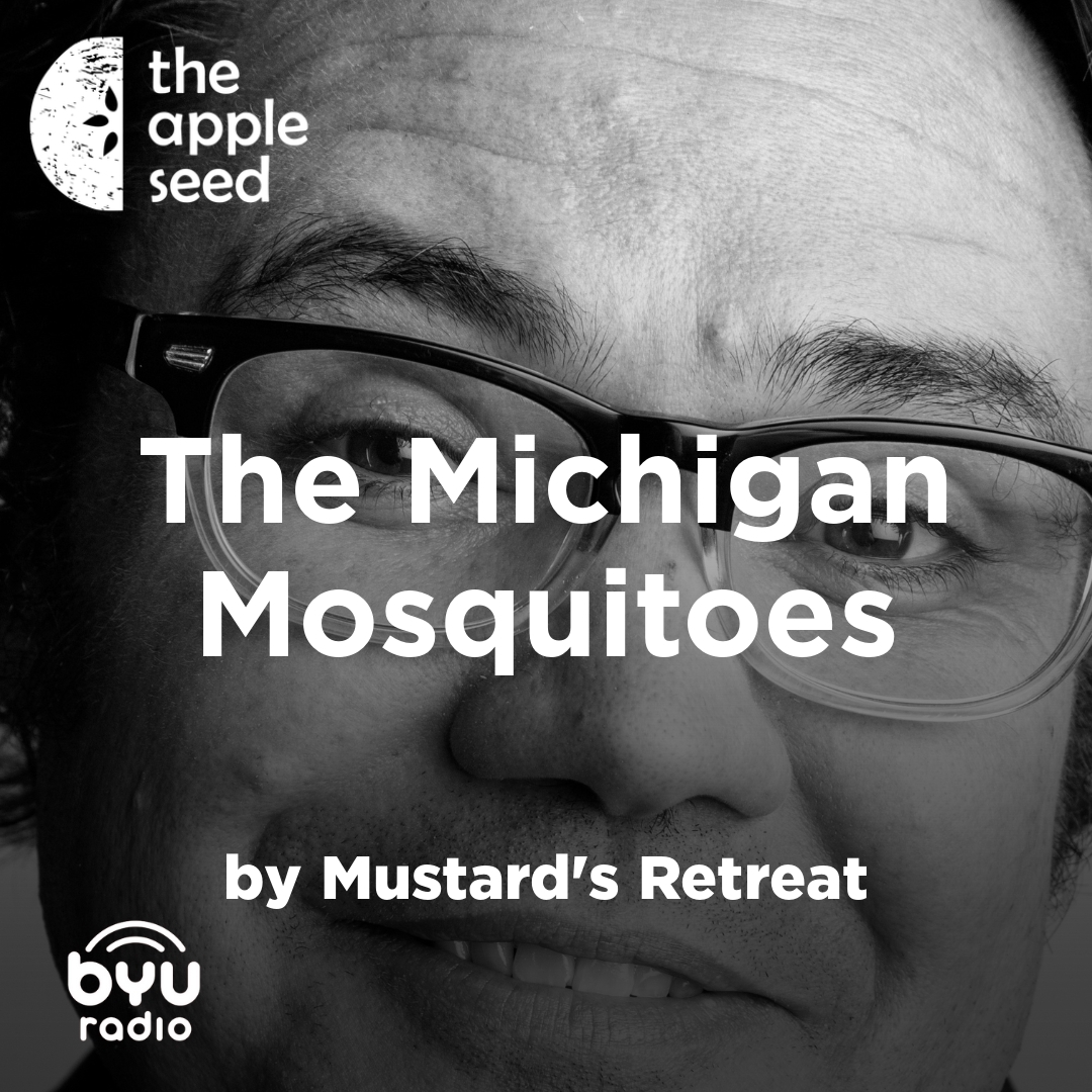 Read more about the article The Michigan Mosquitoes