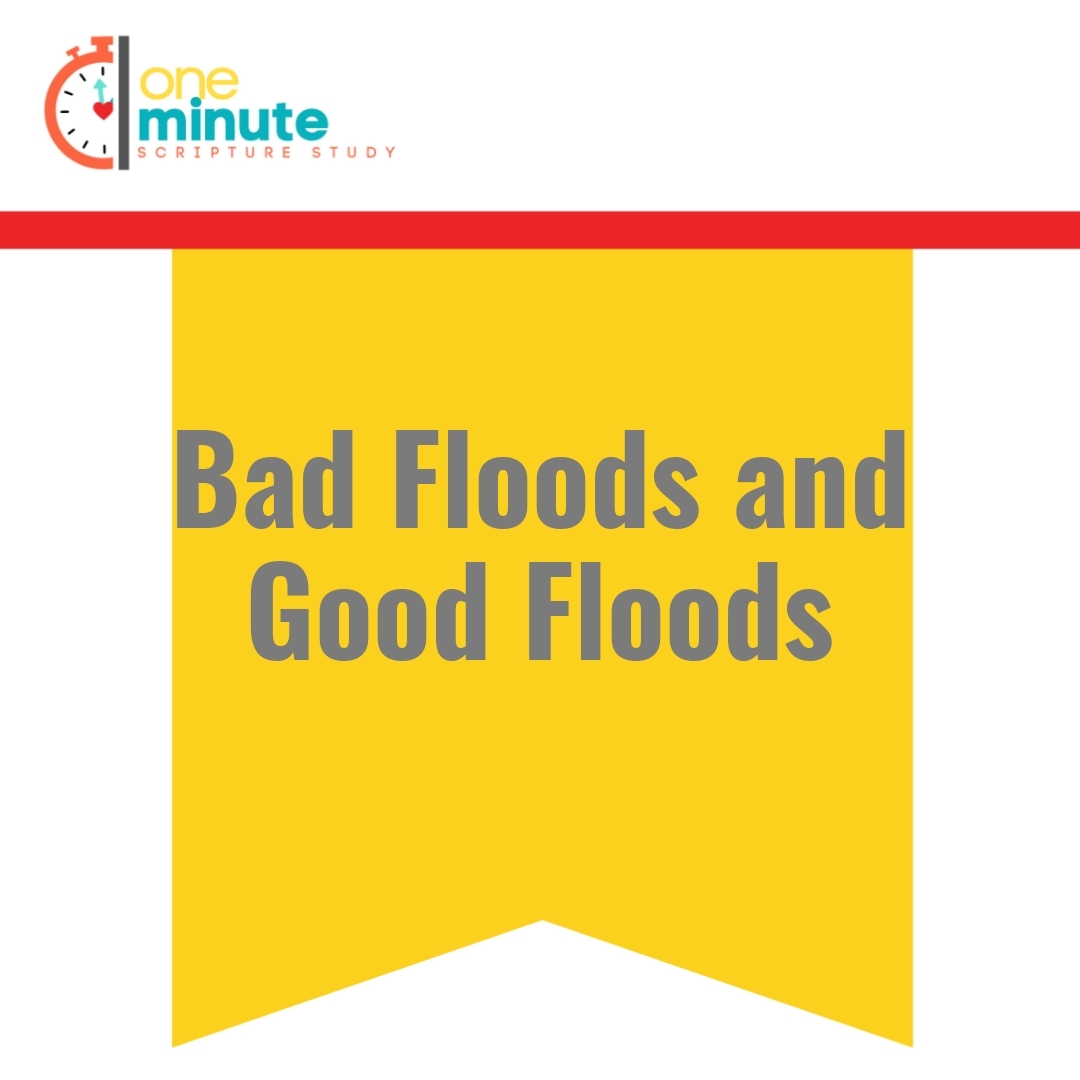 Read more about the article Bad Floods and Good Floods