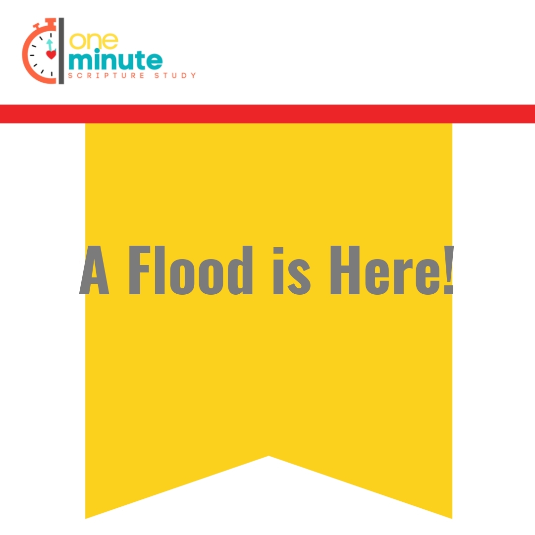 Read more about the article A Flood is Here!