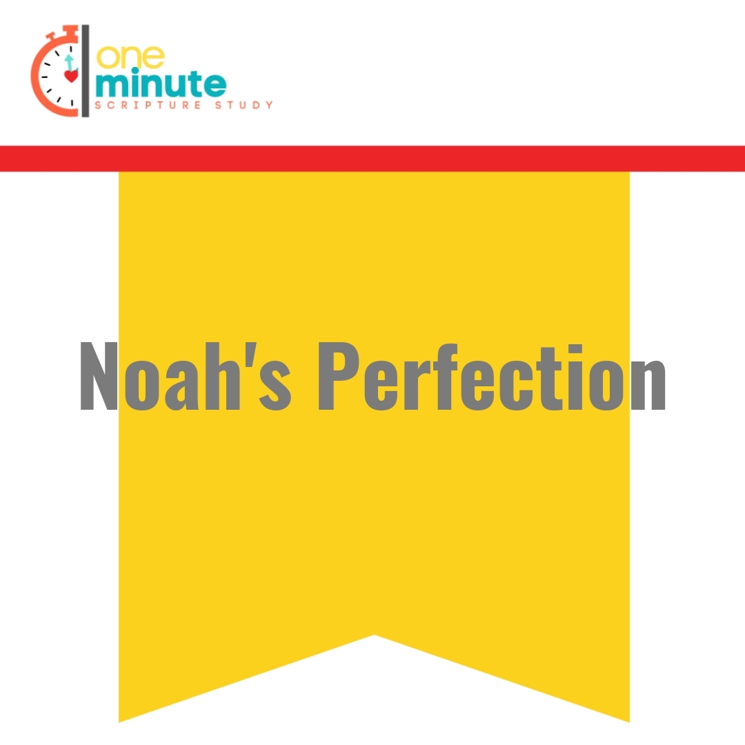Read more about the article Noah’s Perfection