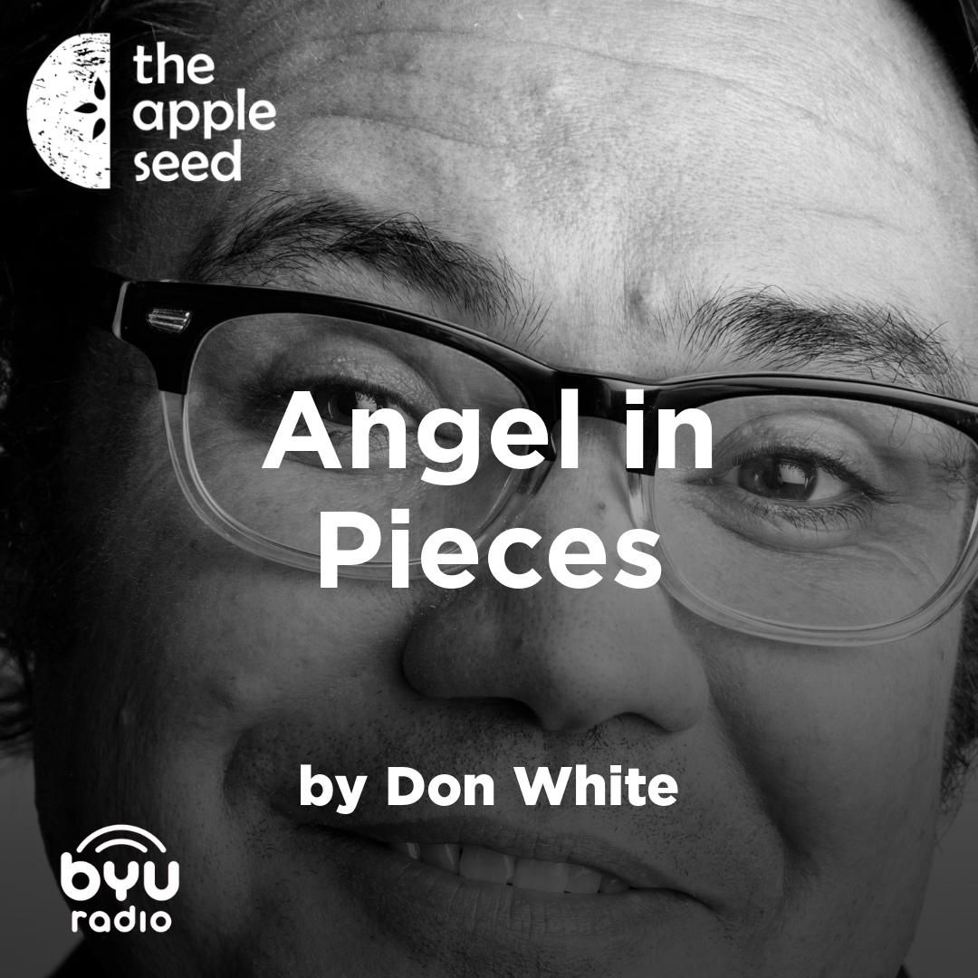 Read more about the article Angel in Pieces