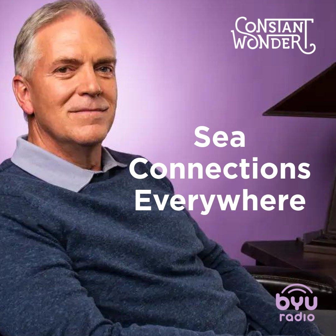 Read more about the article Sea Connections Everywhere