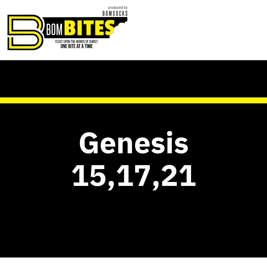 Read more about the article Genesis 15,17,21