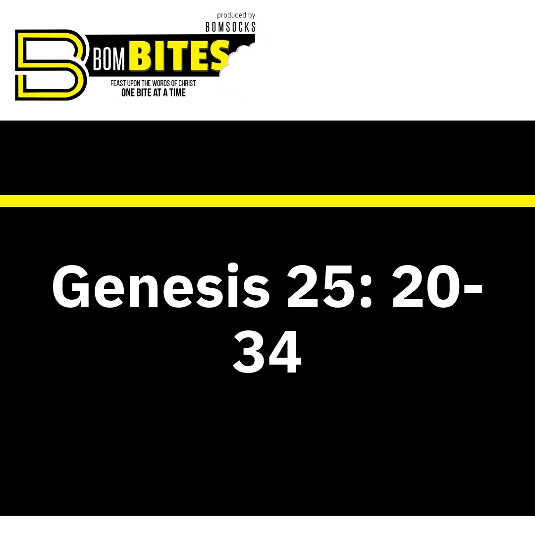 Read more about the article Genesis 25: 20-34
