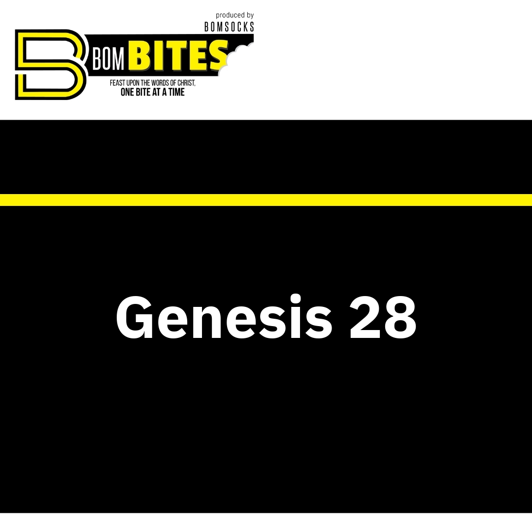 Read more about the article Genesis 28