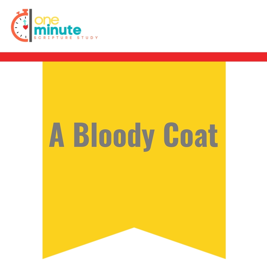 Read more about the article A Bloody Coat