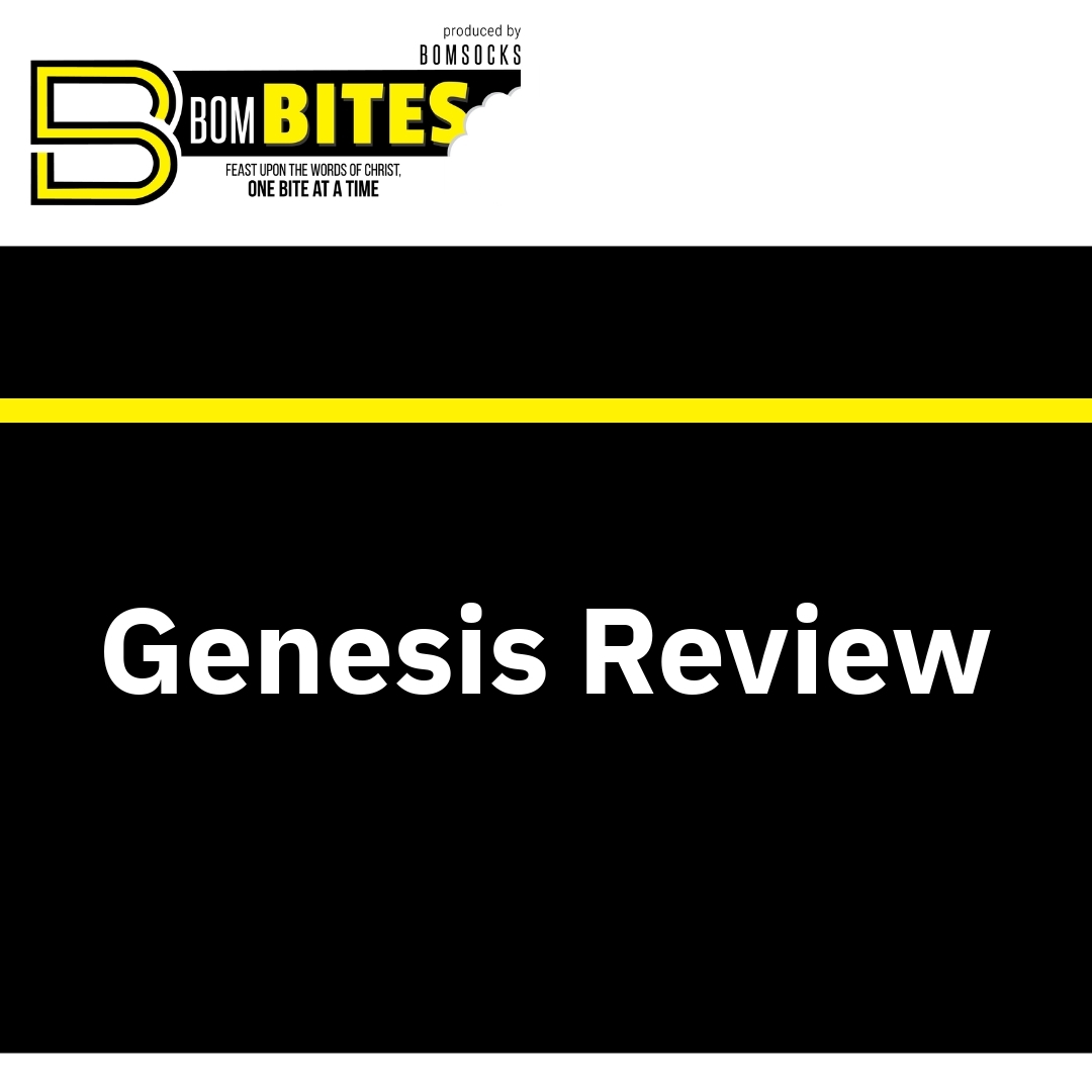 Read more about the article Genesis Review
