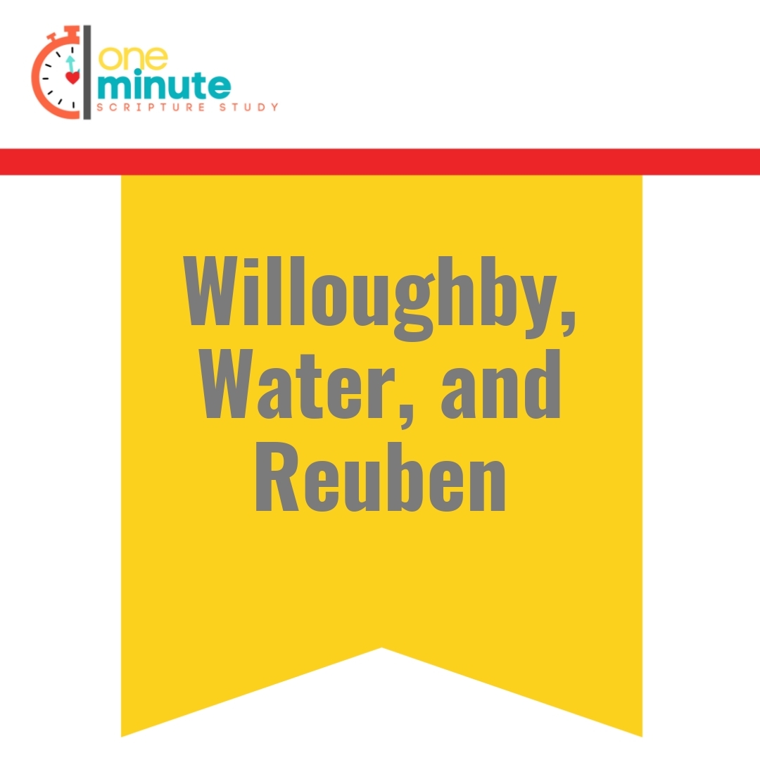 Read more about the article Willoughby, Water, and Reuben