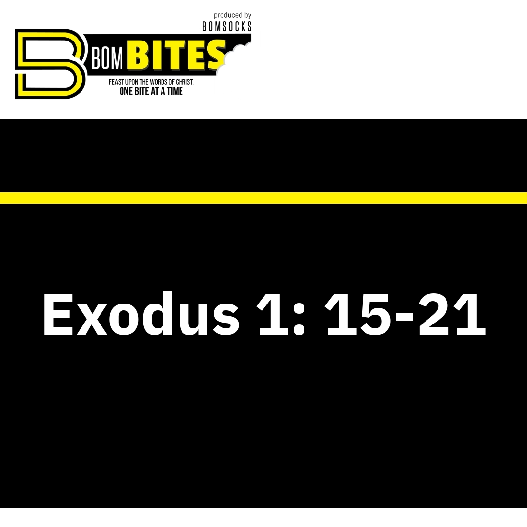 Read more about the article Exodus 1: 15-21