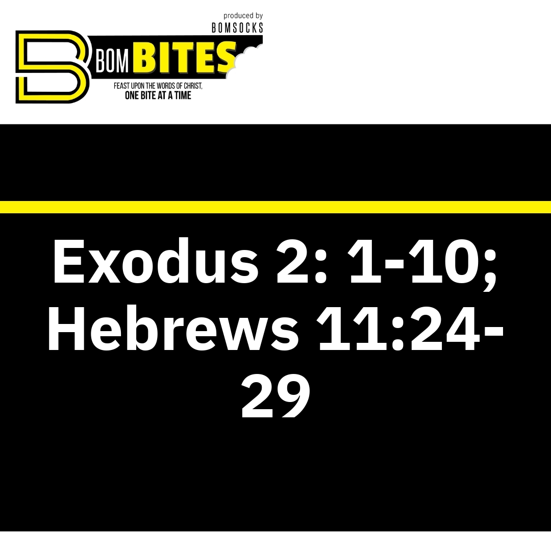 Read more about the article Exodus 2: 1-10; Hebrews 11:24-29