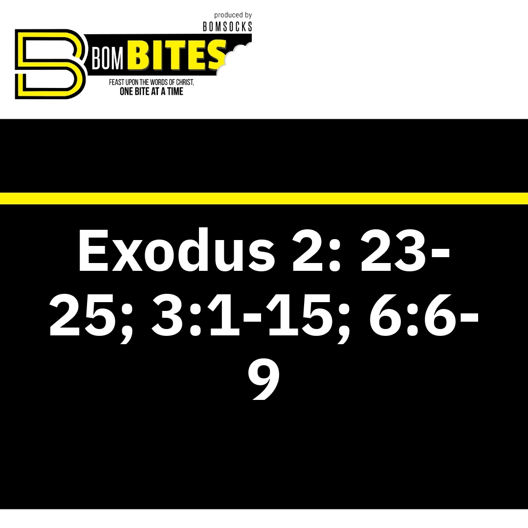 Read more about the article Exodus 2: 23-25; 3:1-15; 6:6-9