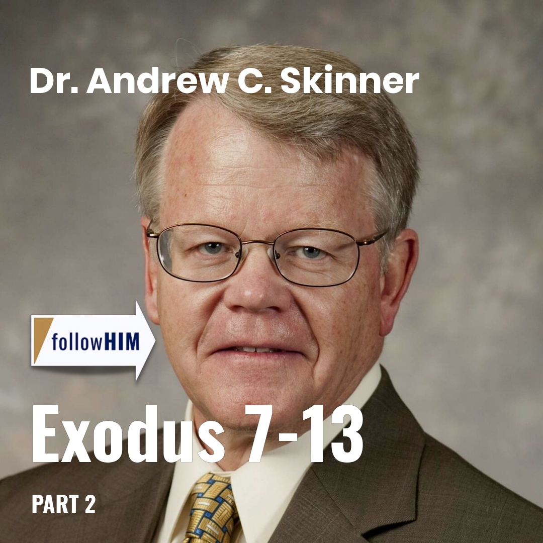 Read more about the article Exodus 7-13: Part 2