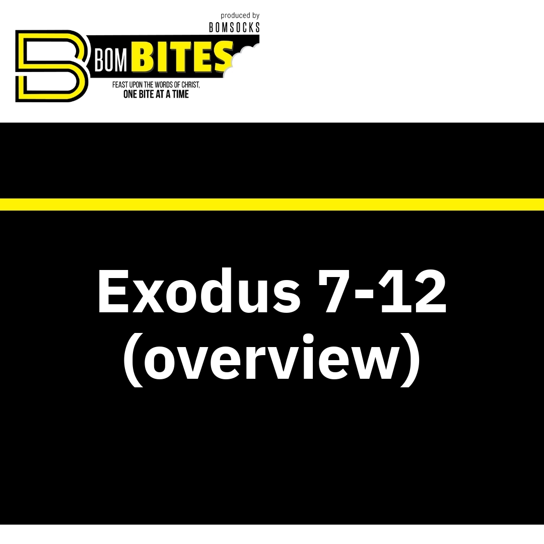 Read more about the article Exodus 7-12 (overview)