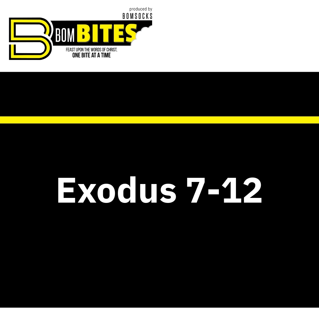 Read more about the article Exodus 7-12